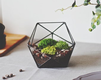 Geometric Glass Terrarium Container, Modern Planter, Coffee Table Decor
