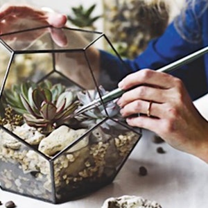 Large Geometric Stained Glass Terrarium: Modern Succulent Planter