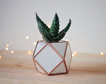 Mini Glass Geometric Desk Planter for Succulent & Cactus | Minimalist Copper Home Decor