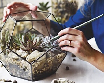 Cube Succulent Terrarium Kit