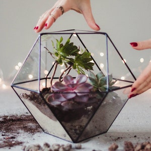 Large Glass Terrarium, Geometric Terrarium, Modern Table Centerpiece, Geometric Planter, Succulent Terrarium, Moss Terrarium, Gardening Gift