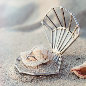 Seashell Ring Holder Etsy