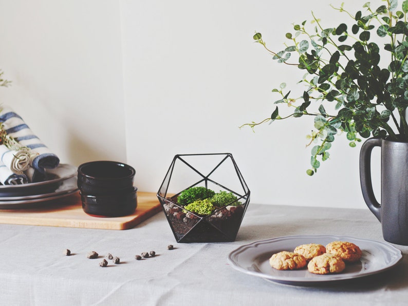 Geometric Glass Terrarium Container, Modern Planter, Coffee Table Decor image 2