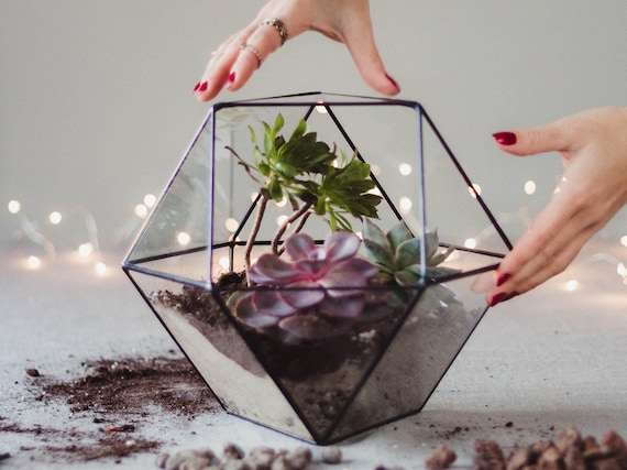 Glass succulent table deals