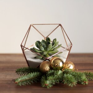 Geometric Glass Terrarium Container, Modern Planter, Coffee Table Decor Copper