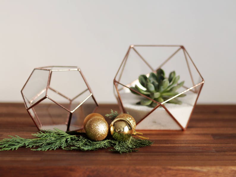 Geometric Glass Terrarium Container, Modern Planter, Coffee Table Decor image 5