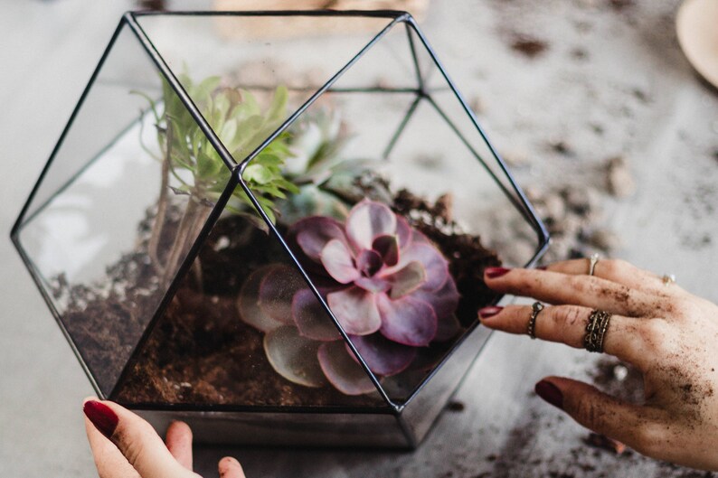 Large Glass Terrarium Geometric Terrarium Modern Table Etsy