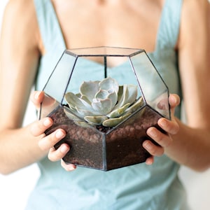 Stained Glass Dodecahedron Terrarium: Modern Geometric Planter