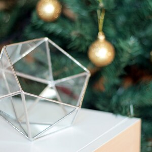Glass Geometric Terrarium Container Minimalist Planter Silver