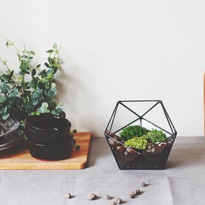 Geometric Glass Terrarium Container, Modern Planter, Coffee Table Decor image 7