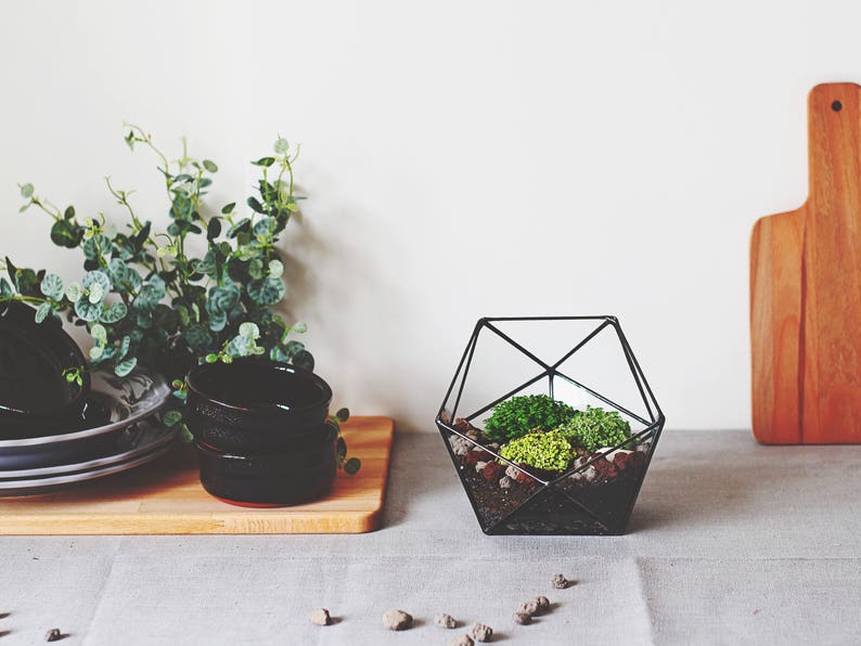 Geometric Glass Terrarium Container, Modern Planter, Coffee Table Decor image 7