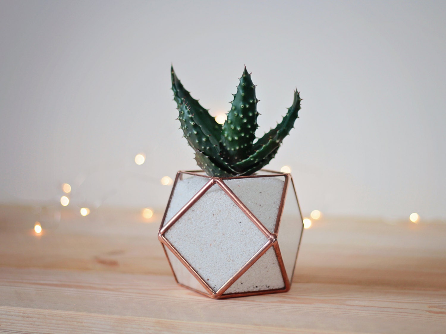 Mini Jardinière de Bureau Géométrique en Verre Pour Succulente et Cactus | Décoration Minimaliste Cu