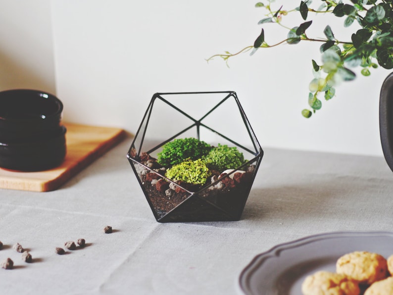 Geometric Glass Terrarium Container, Modern Planter, Coffee Table Decor 