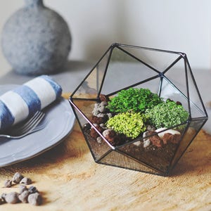 Geometric Glass Terrarium Container, Modern Planter, Coffee Table Decor image 9