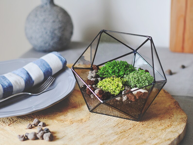 Geometric Glass Terrarium Container, Modern Planter, Coffee Table Decor image 9