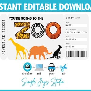Ticket to the Zoo Vacation Boarding Pass - Digital File - You Fill and Print