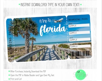 May include: A digital boarding pass design with a Florida beach scene. The ticket features a blue sky, palm trees, and a wooden walkway leading to the beach. Text includes "A Trip To Florida" and fields for customization.
