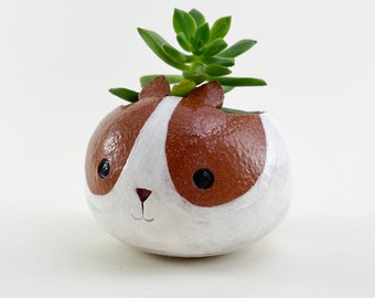 Terracotta Planter, Guinea Pig Planter, Dutch Guinea Pig