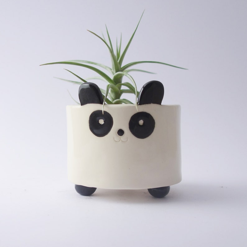 Panda Bear Planter Plant Pot Ceramic Pottery Etsy