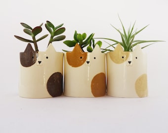 Cache-pot chat, couleur d'accompagnement au choix, poterie chat, pot succulent avec système de drainage