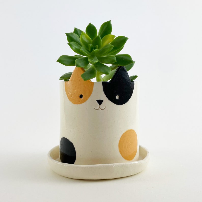 Cache-pot chat, couleur d'accompagnement au choix, poterie chat, pot succulent avec système de drainage image 3