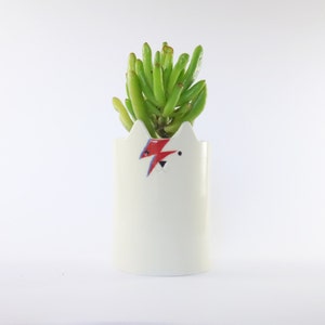 May include: White ceramic planter shaped like a cat's face with a red and blue lightning bolt design. A green succulent plant is growing in the planter.