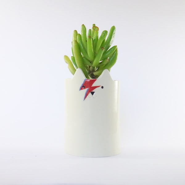 Ziggy Stardust Cat Planter: David Bowie Tribute Plant Pot
