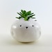 see more listings in the Cat Planters section