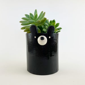 May include: A black ceramic bear-shaped plant pot with a glossy finish. The pot has a white and beige bear face design and contains a green succulent plant. The ears and face details are prominent, creating a whimsical aesthetic.