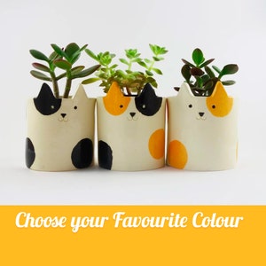 May include: Three ceramic cat planter pots with black, orange, and white polka dots. Each pot has a cute cat face with ears and a small succulent plant inside. The text "Choose your Favourite Colour" is at the bottom of the image.