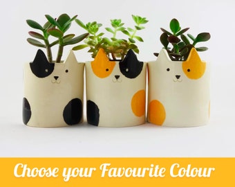 May include: Three ceramic cat planter pots with black, orange, and white polka dots. Each pot has a cute cat face with ears and a small succulent plant inside. The text "Choose your Favourite Colour" is at the bottom of the image.