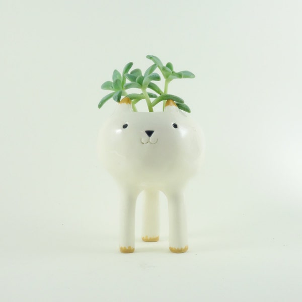 Tiny Cat Planter, Desktop Planter, White Pottery Plant Pot, White Planter