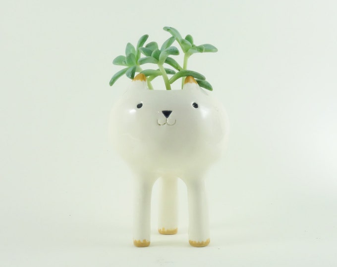 Tiny Cat Planter, Desktop Planter, White Pottery Plant Pot, White Planter