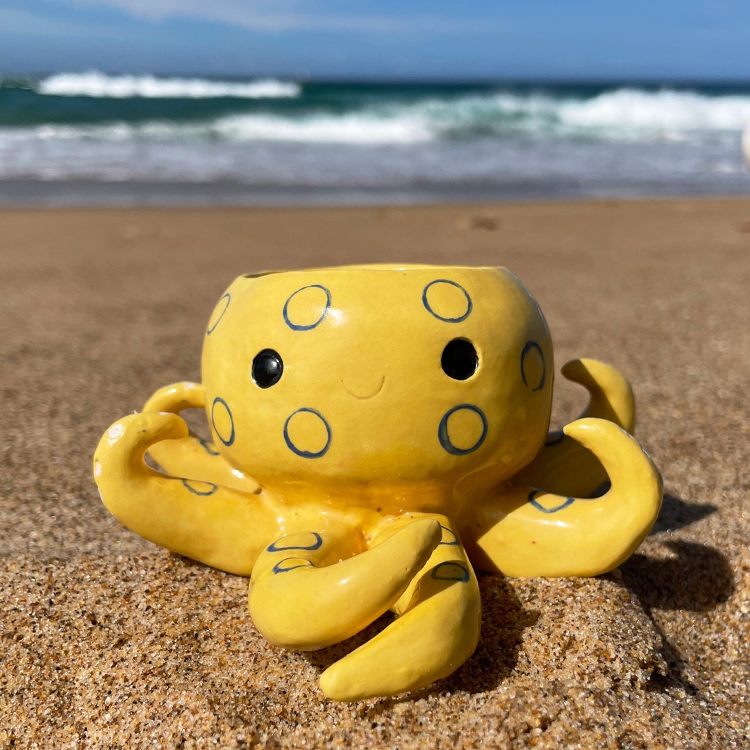 Blue Ringed Octopus Planter, Octopus Pot, Unique Planter Pot, Sea
