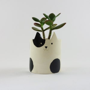 May include: A white ceramic planter shaped like a cat with black spots and a black ear. The planter has a cute face with a black nose and whiskers. A small green succulent plant is growing inside the planter.