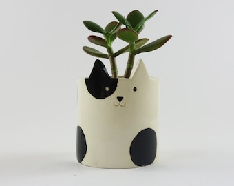 Handmade Ceramic Cat Planter: White Pottery with Black Patches