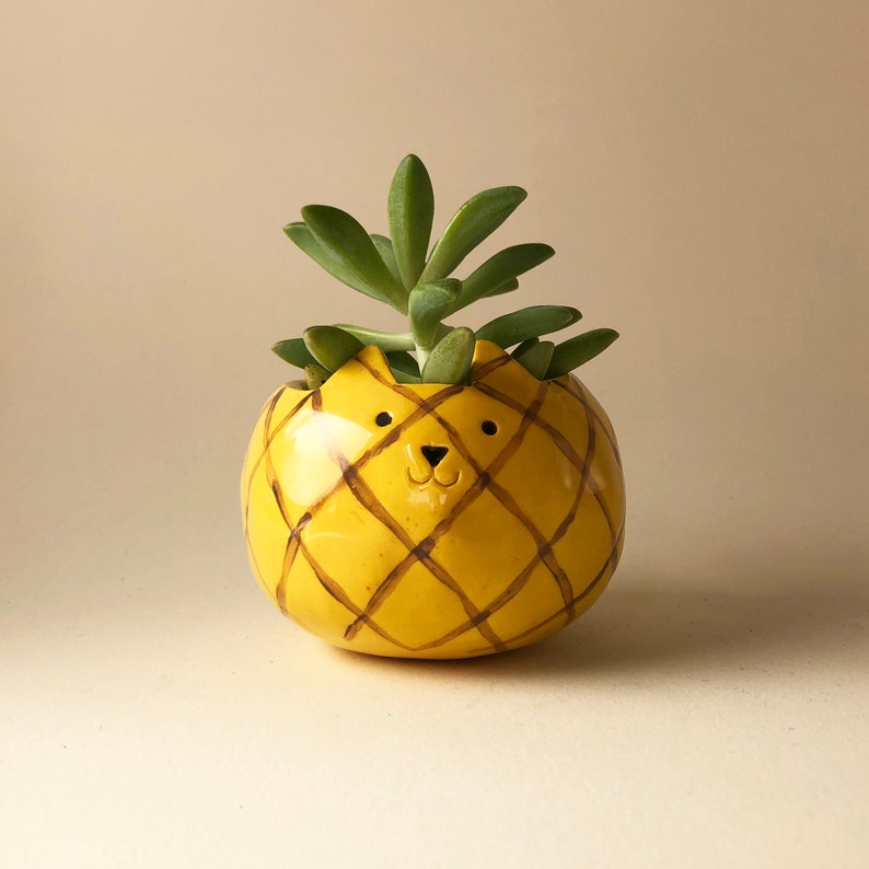 Pineapple Planter Pineapple Cat Plant Pot Ceramic Pot Etsy