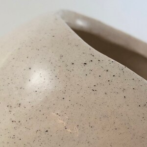 Handmade Ceramic Wombat Planter: Speckled Glazed Animal Pot image 4