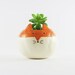 see more listings in the Ceramic Planters section