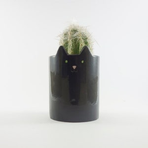 Può includere: Vaso in ceramica nera a forma di gatto con occhi verdi e naso rosa, che contiene una piccola pianta di cactus.