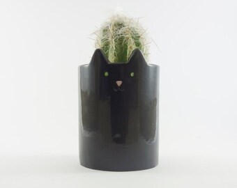 Könnte beinhalten: Schwarzer Keramik-Pflanztopf in Katzenform mit grünen Augen und rosa Nase, in dem eine kleine Kakteenpflanze wächst.