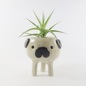 Puede incluir: Una maceta de cerámica con forma de pug con acabado beige claro, detalles negros y tres patas. La maceta contiene una planta aérea verde. La cara del pug presenta orejas, ojos y nariz negros. Un artículo decorativo único.