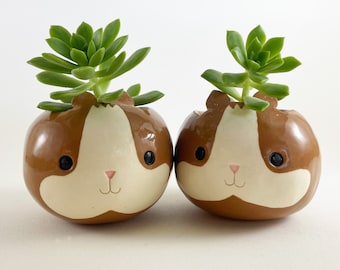Guinea Pig Planter, Fun Ceramic Succulent Pot