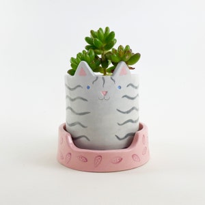 May include: A gray and white striped ceramic planter shaped like a cat's face with blue eyes. The planter is sitting on a pink saucer with a leaf pattern. A succulent plant is growing in the planter.