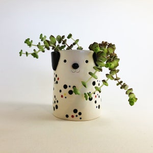 Op de afbeelding: Een witte keramische plantenpot in de vorm van een dalmatiër met zwarte vlekken en rode en gele accenten. De pot is gevuld met een groene succulent.