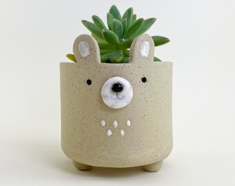 Bear Planter, Sandy Bear