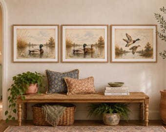 Può includere: Tre stampe artistiche da parete rettangolari con illustrazioni in stile vintage di germani reali in un ambiente naturale di zone umide. Le stampe sono inserite in cornici di legno chiaro e raffigurano anatre che nuotano e volano.