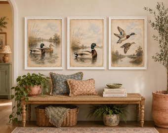 May include: Three framed wall art prints featuring mallard ducks in a natural wetland setting, displayed above a wooden bench with a woven seat, two patterned throw pillows, a wicker basket, and stacked books with visible text.