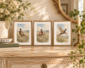 Può includere: Un set di tre stampe artistiche verticali incorniciate con dettagliate illustrazioni ad acquerello di fagiani in un campo erboso. Ogni stampa è inserita in una sottile cornice dorata con un passe-partout bianco.