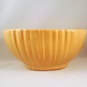 Haeger Pottery Planter, 1960's, Succulent Planter, Mustard Yellow, 4020 USA, Mid-century, Earth tone, Oval, Serving Bowl, Table Centerpiece